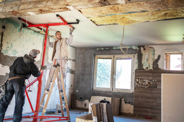 Best Insulation Removal  in Morganton, NC