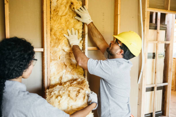 Best Insulation Contractors for Homes  in Morganton, NC